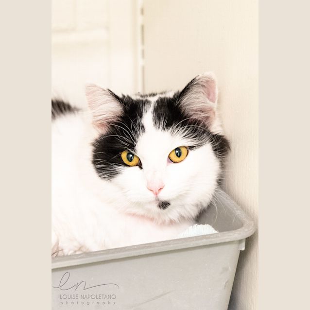 Photo of Miley (2423)