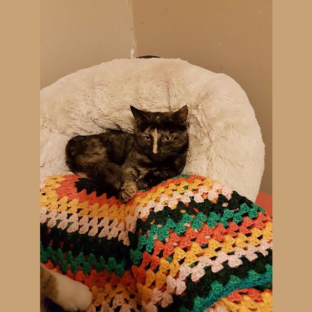 Photo of Little Ki