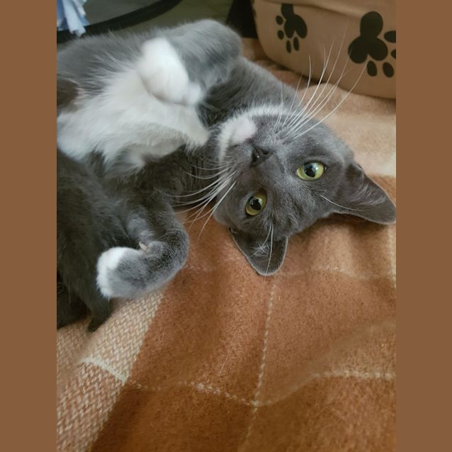 Photo of Lily