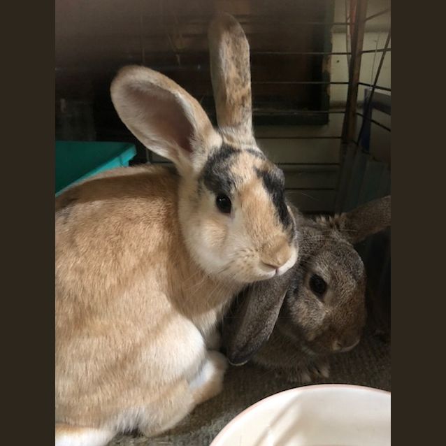 Photo of Jamie & Sammy