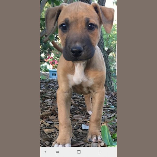 Photo of Betty