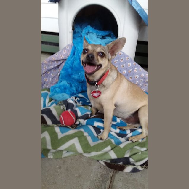 Photo of Rylie