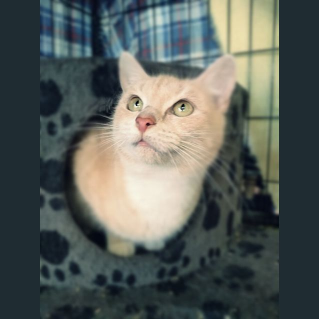 Photo of Hope