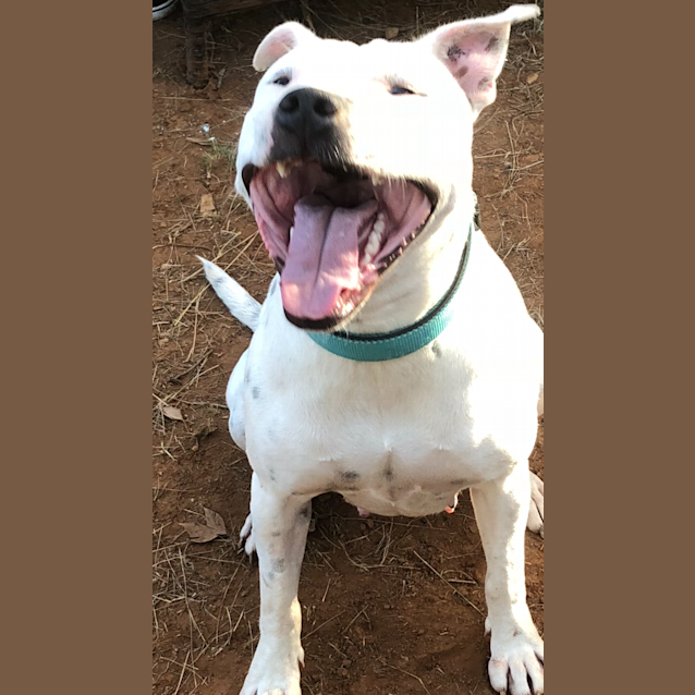 Photo of Little Mama