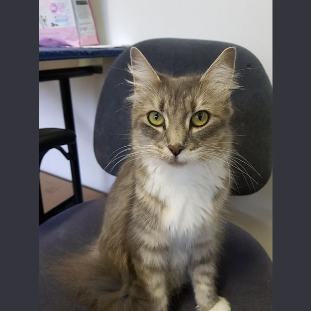 Photo of Betty