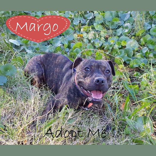 Photo of Margo