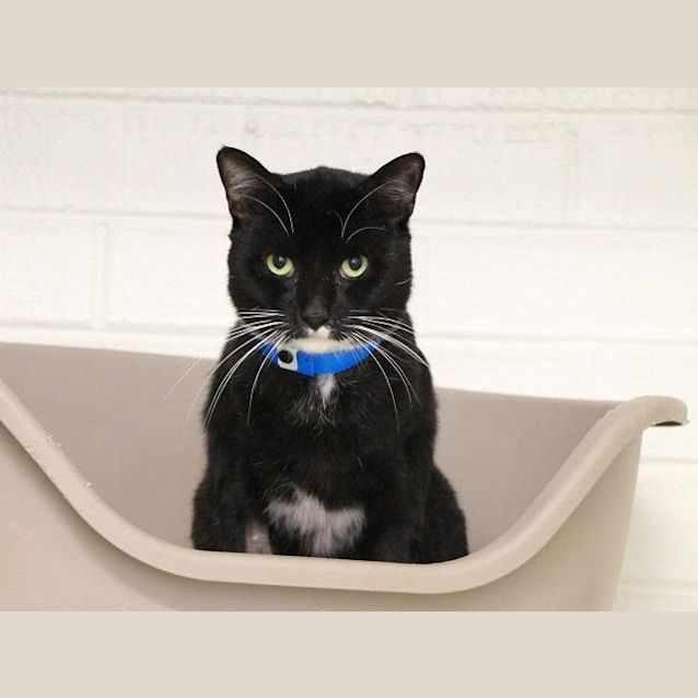 Photo of Roman (2282)