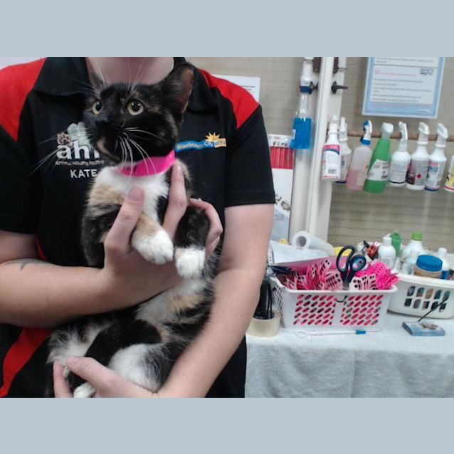 Photo of Jasmine (2427)