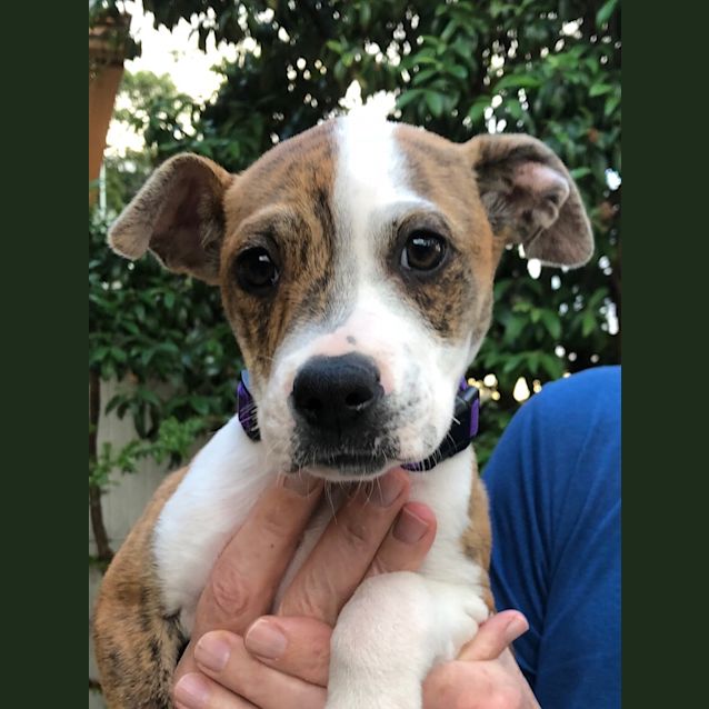 Photo of Nellie