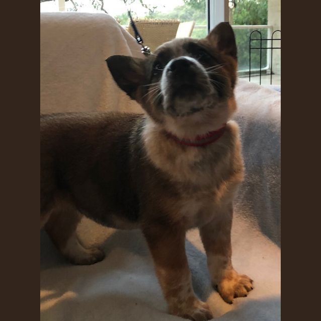 Photo of Ralph