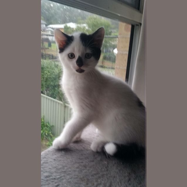 Photo of Carlos 