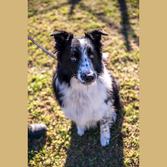 Photo of Jet