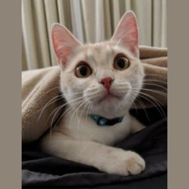 Photo of Lettie