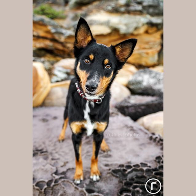 Photo of Kalea