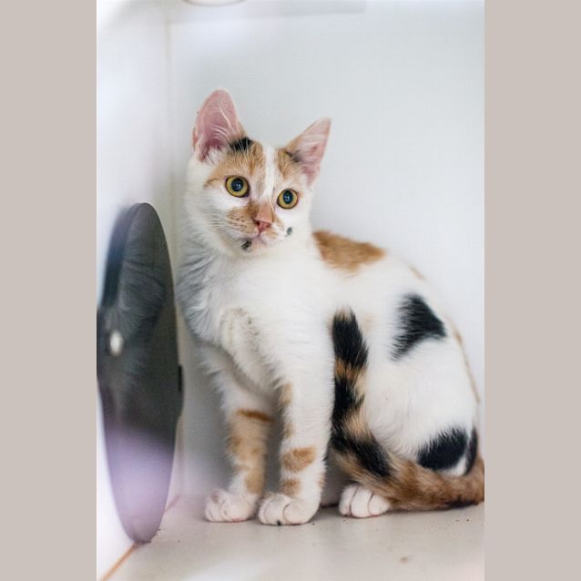 Photo of Sally