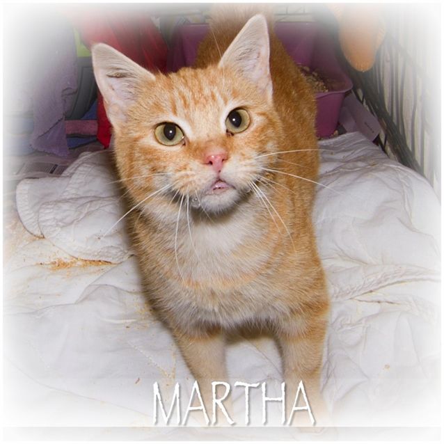 Photo of Martha
