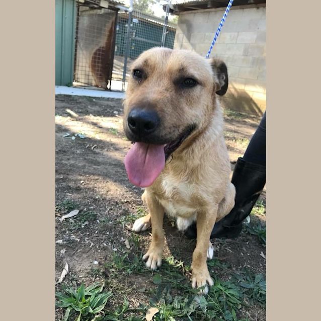 Photo of #666 Finley