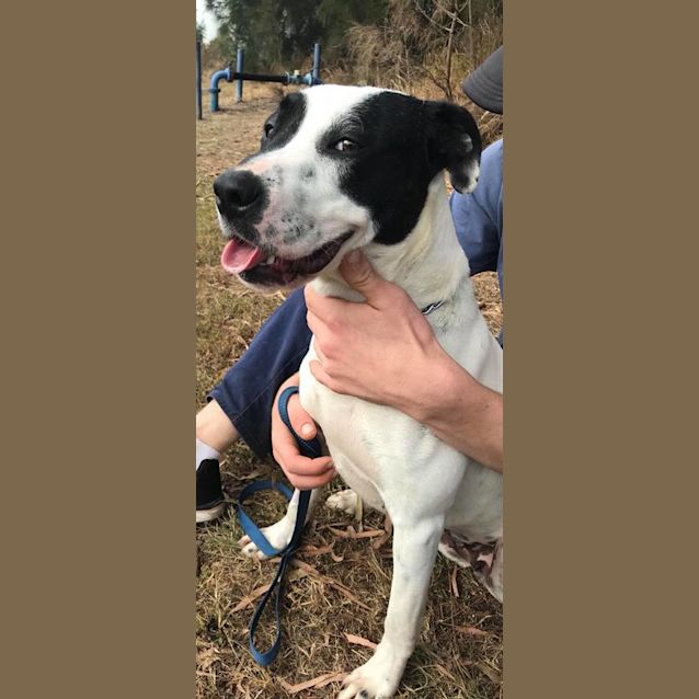 Photo of Chevy