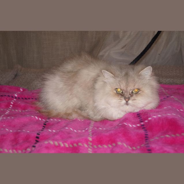 Photo of Nebraska & Nevada