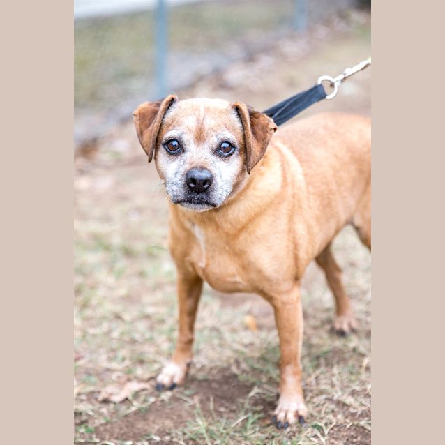 Photo of Rowdy