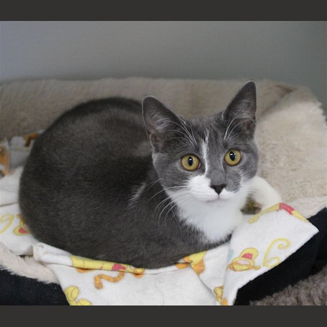 Photo of Storm