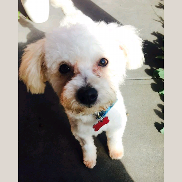 Photo of Sunny
