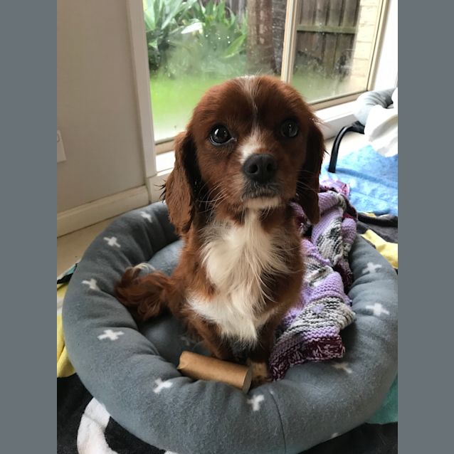 Photo of Annabelle