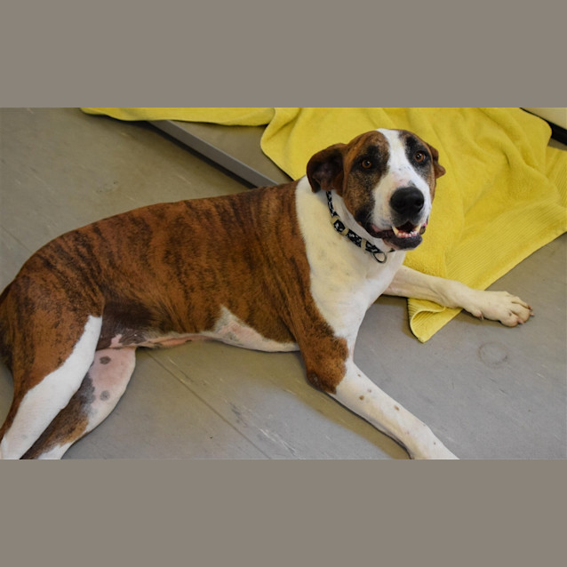Photo of Marcie