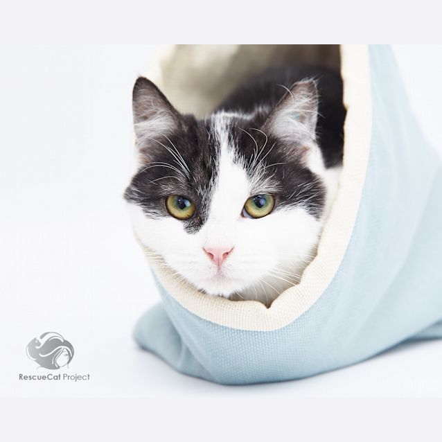 Photo of Cody And Lexi