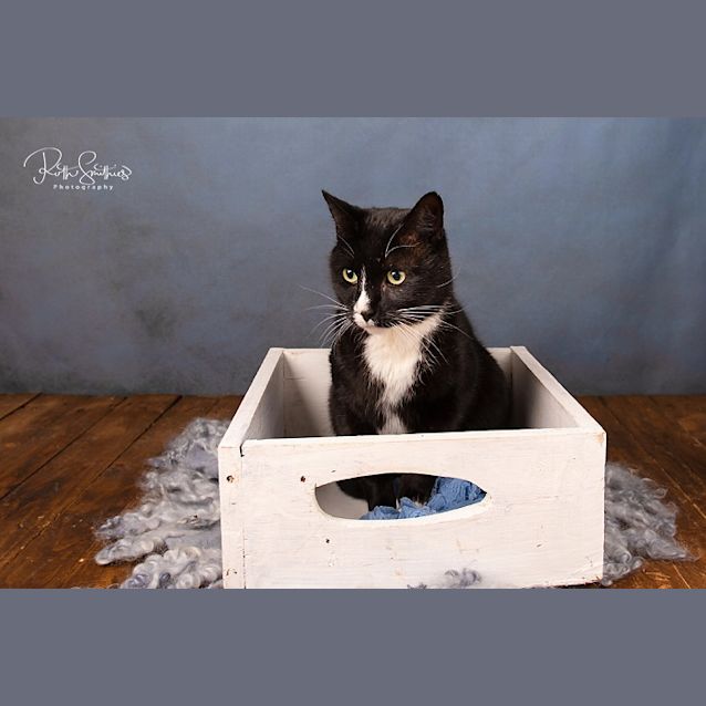 Photo of Prince Ec0415