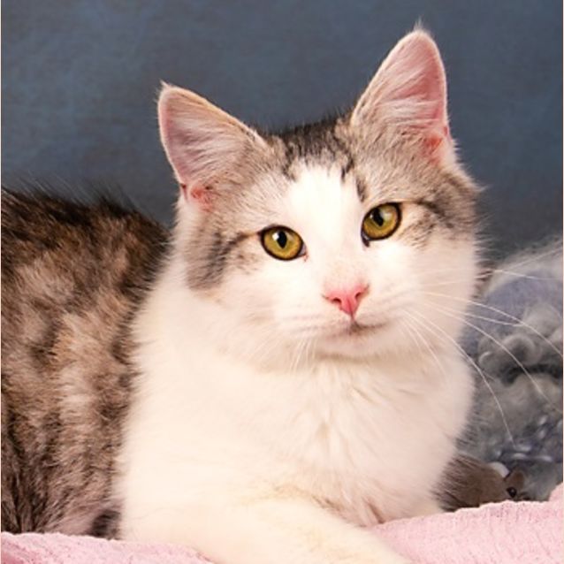 Photo of Sasha Ec0464