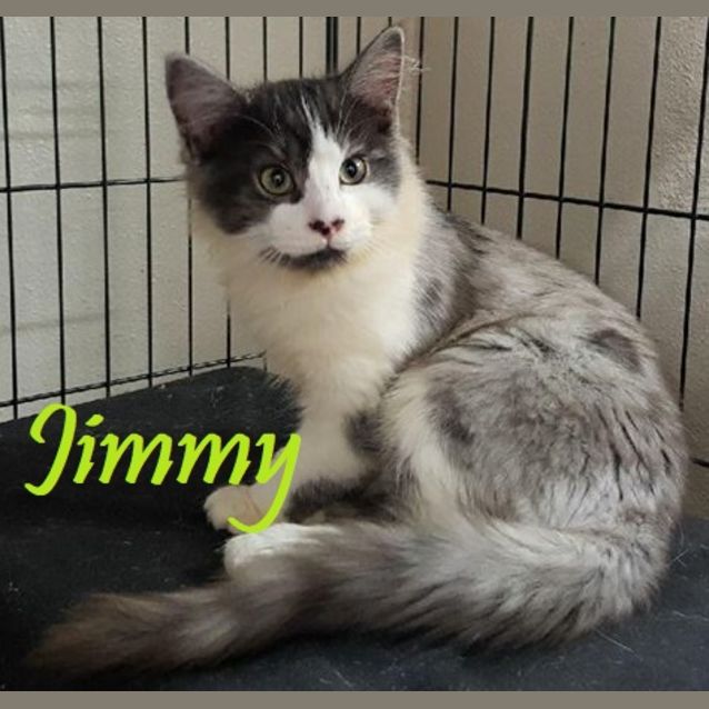 Photo of Jimmy
