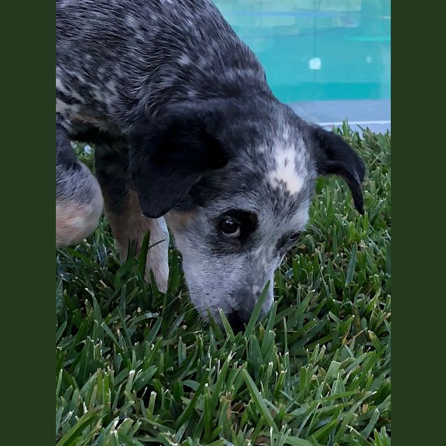 Photo of Sophie 