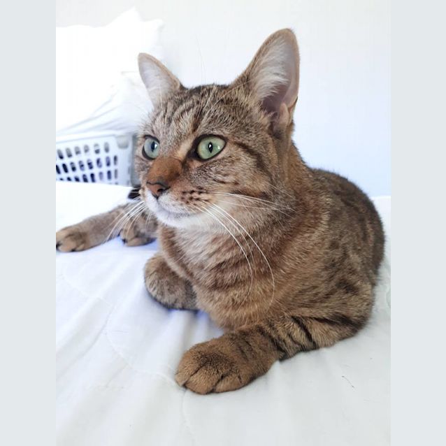 Photo of Tyra