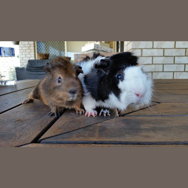 Photo of Dolton And Benny