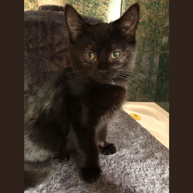 Photo of Delightful Donna