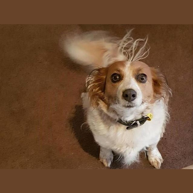 Photo of Max