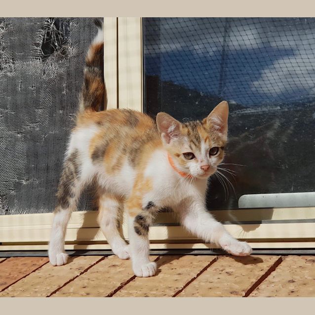 Photo of Angelica 😍