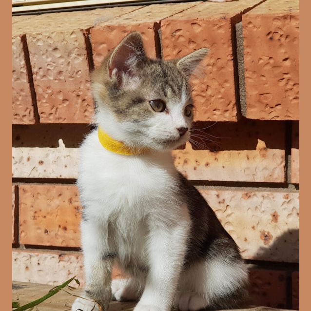 Photo of Baby Lil 😍