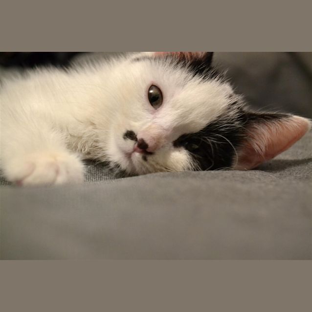 Photo of Stripe
