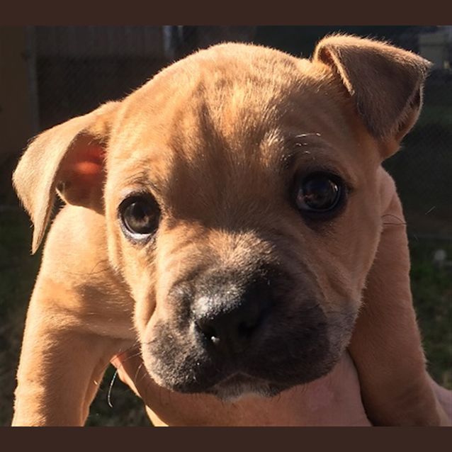 Photo of Charlie