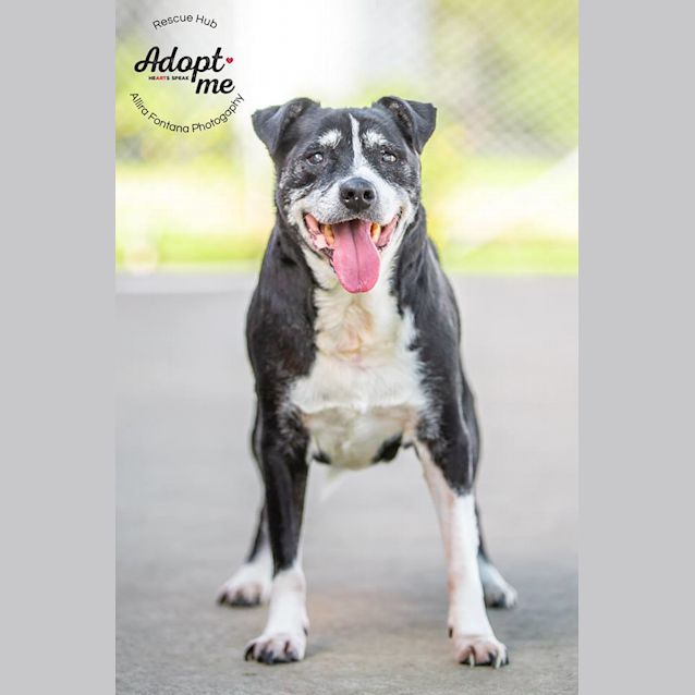 Photo of Munga (Pcc 344)