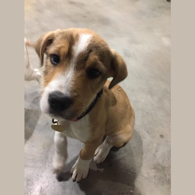 Photo of Olaf