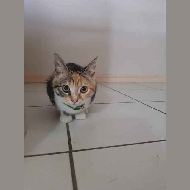 Photo of Leona 