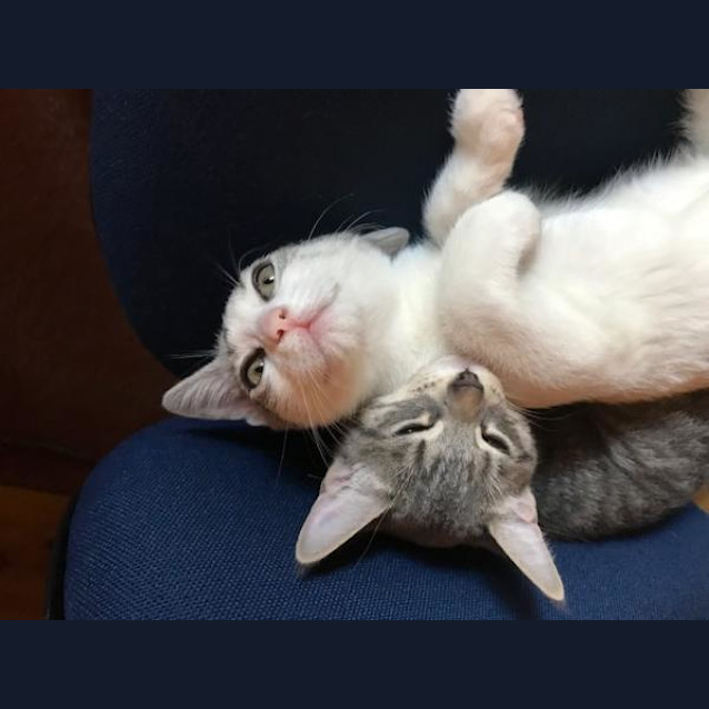 Photo of Gracie And Frankie