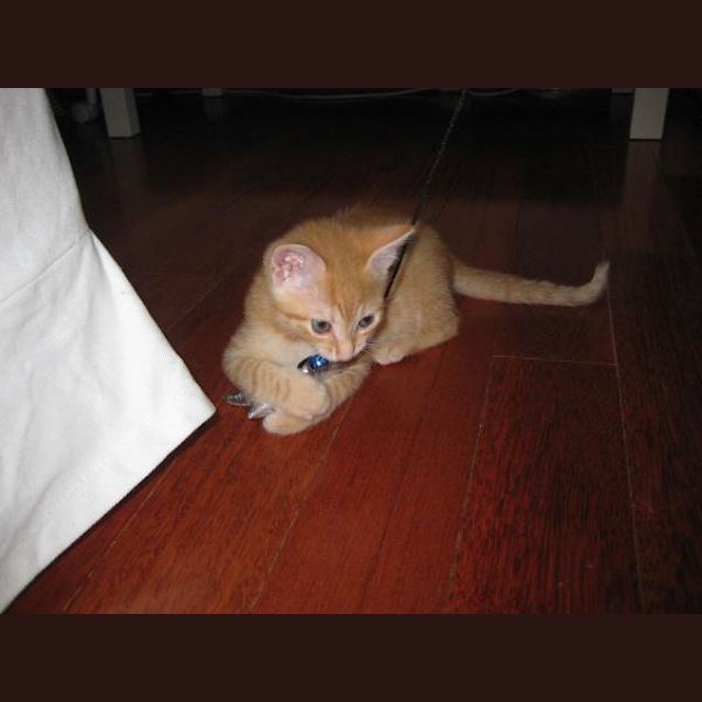 Photo of Larry