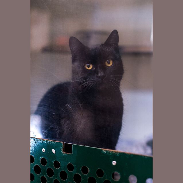 Photo of Trim