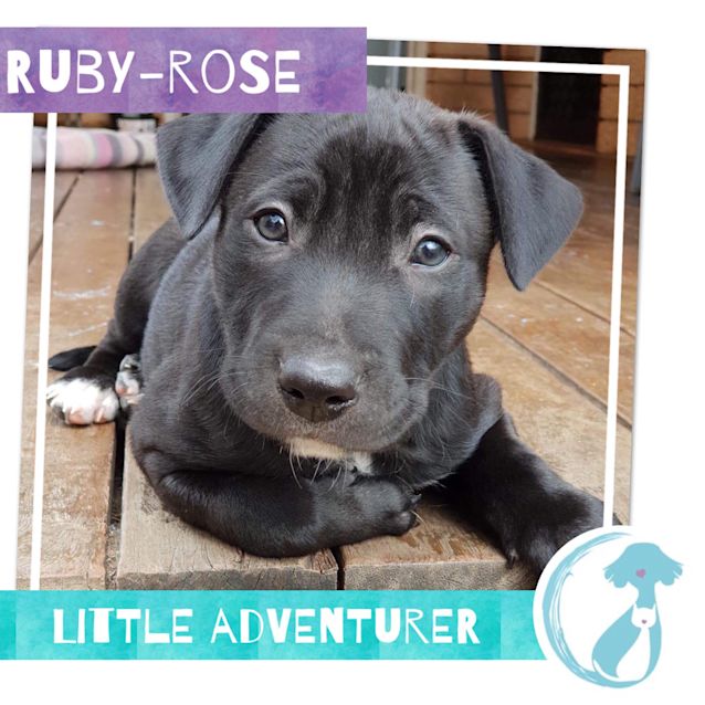 Photo of Ruby Rose