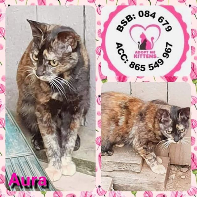 Photo of Aura