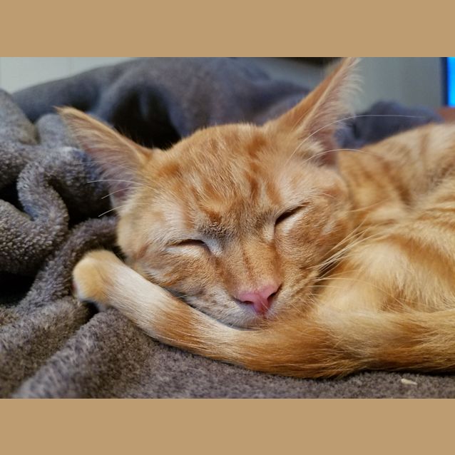Photo of Ruskit